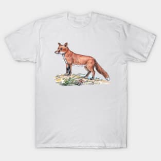 Red Fox T-Shirt